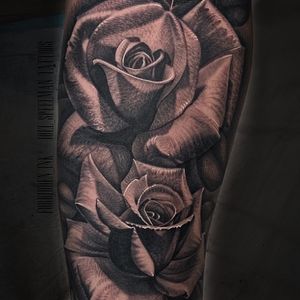 Roses done by Joel Speelman 