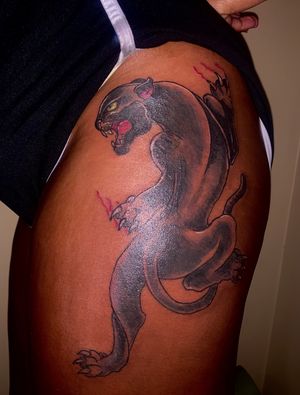 Coverup panther 