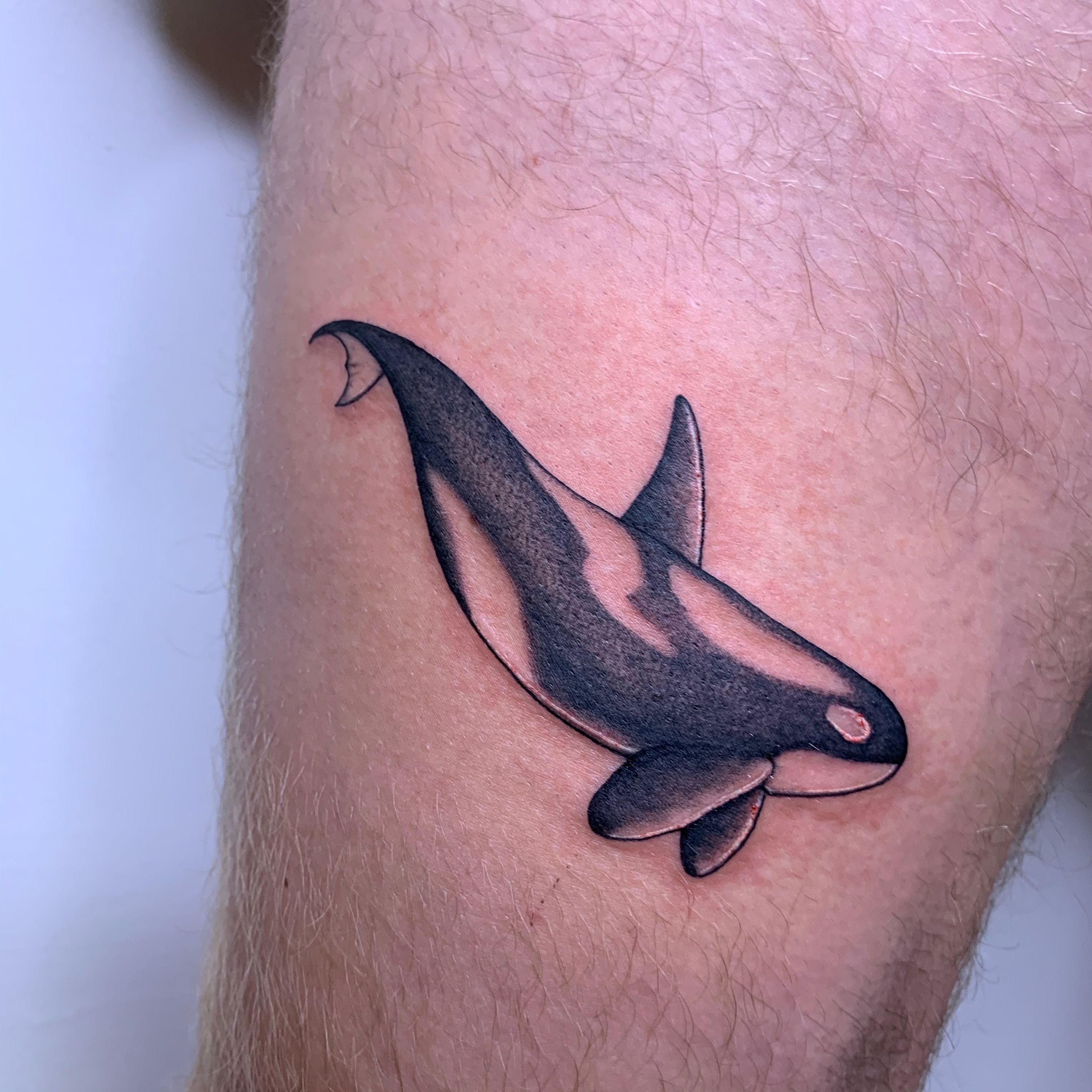 Orca Killer Whale Blue Tribal Tattoo Sun Ink Art - Orca Killer Whale -  Posters and Art Prints | TeePublic