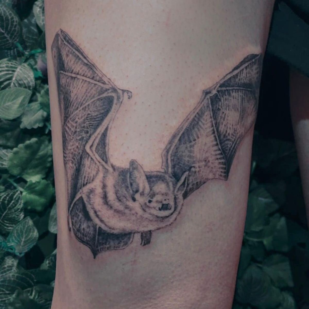 Tattoo uploaded by Kacper Ogaza • Bat on the leg ? • Tattoodo