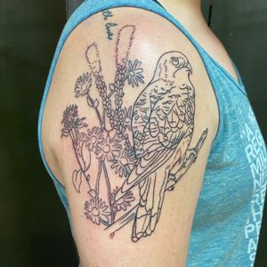 A kestrel and wild flowers started! We’ll be starting color next. 