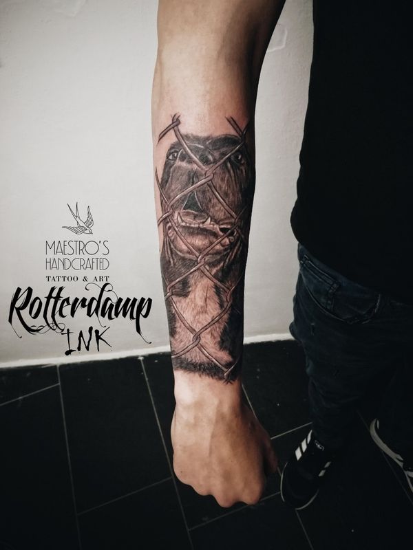 Tattoo from Rotterdamp INK