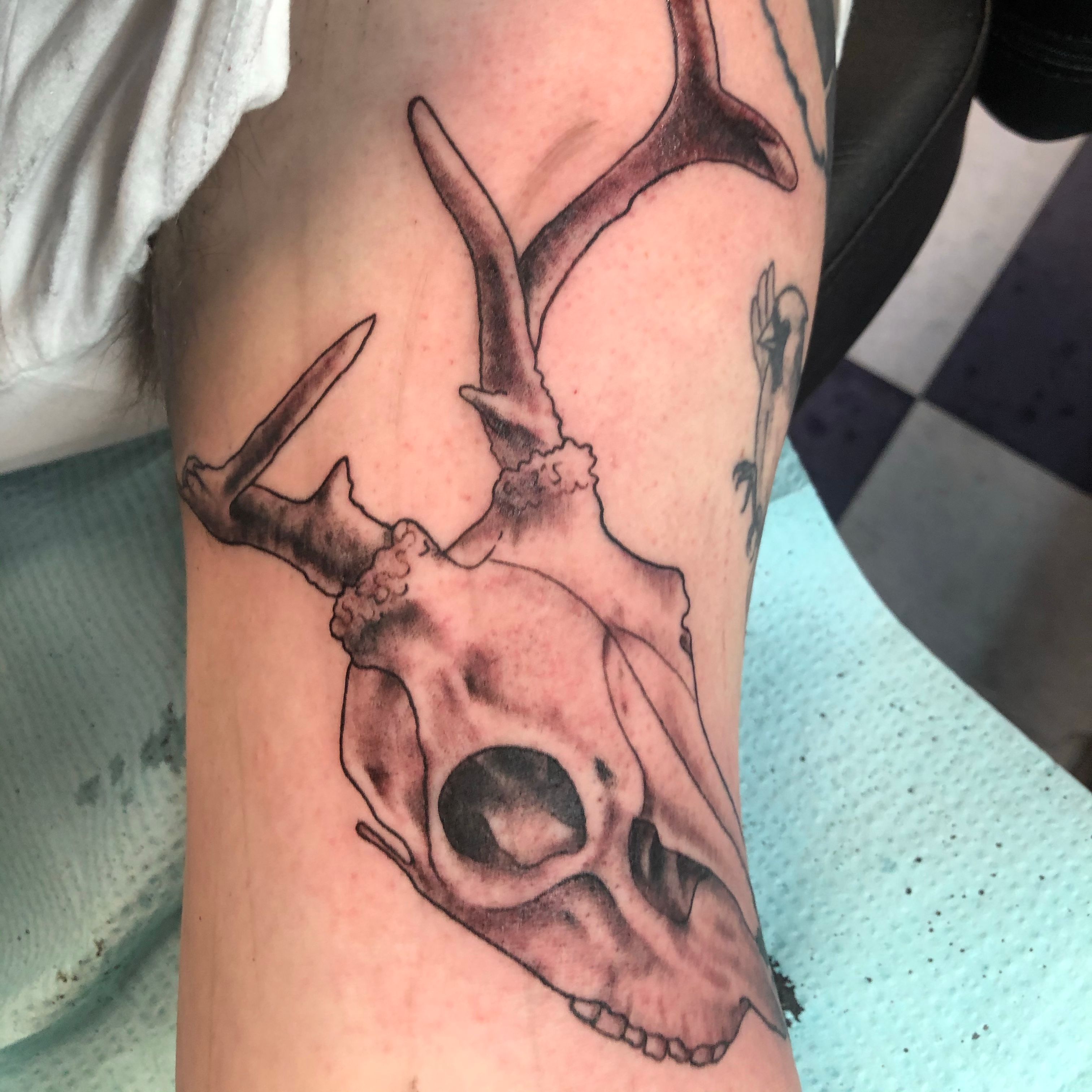 Maple Leaves And Deer Skull Tattoo On Man Chest