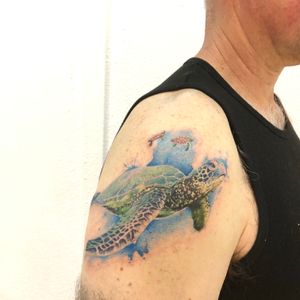Sea turtle 🐢 