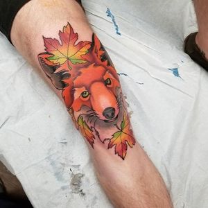 A foxy knee by Jason Mims