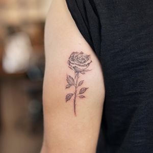 Single needle rose