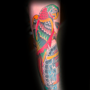 Traditional parrot sleeve by Shane Vick