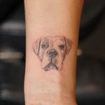 Single needle dog portrait 