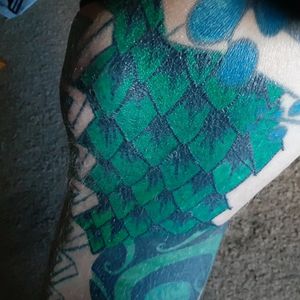 Healed scales section I'm working on still might touch it up