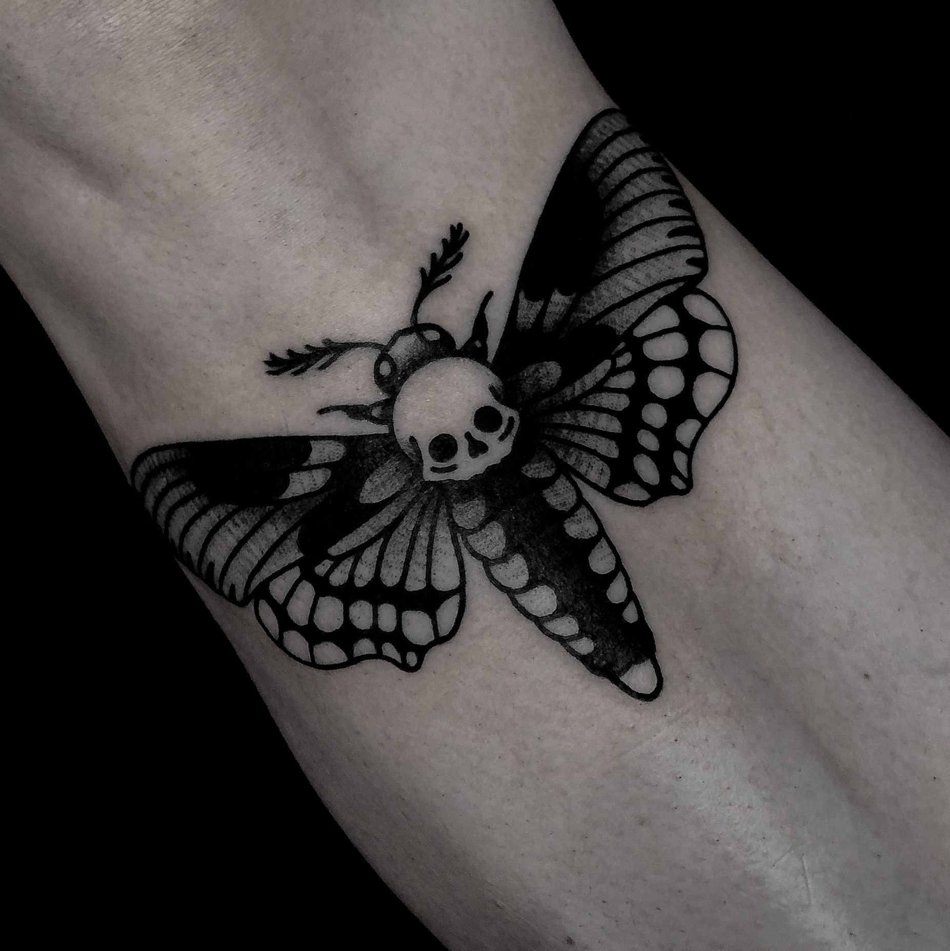 Tattoo uploaded by Jules  black and white moth  Tattoodo