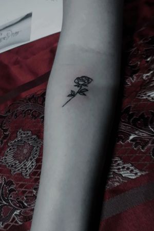 Rosa/Rose🌷 Instagram: Sian.tattoo 