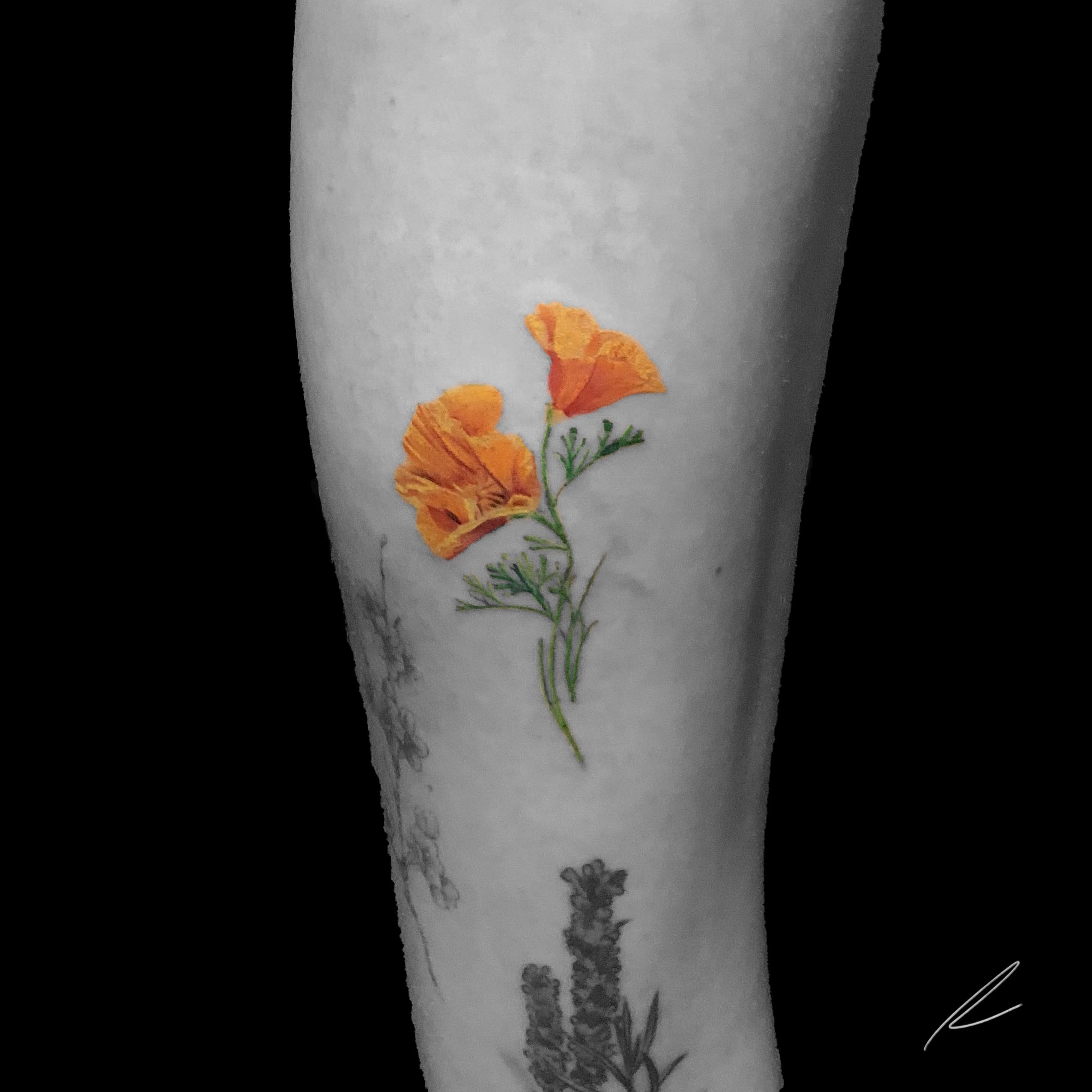 Pacific Fogeood California Poppies and Lady Fern for Jen  californiapoppy dogwood ferntattoo poppytattoo inked tattoo tattoos   Instagram
