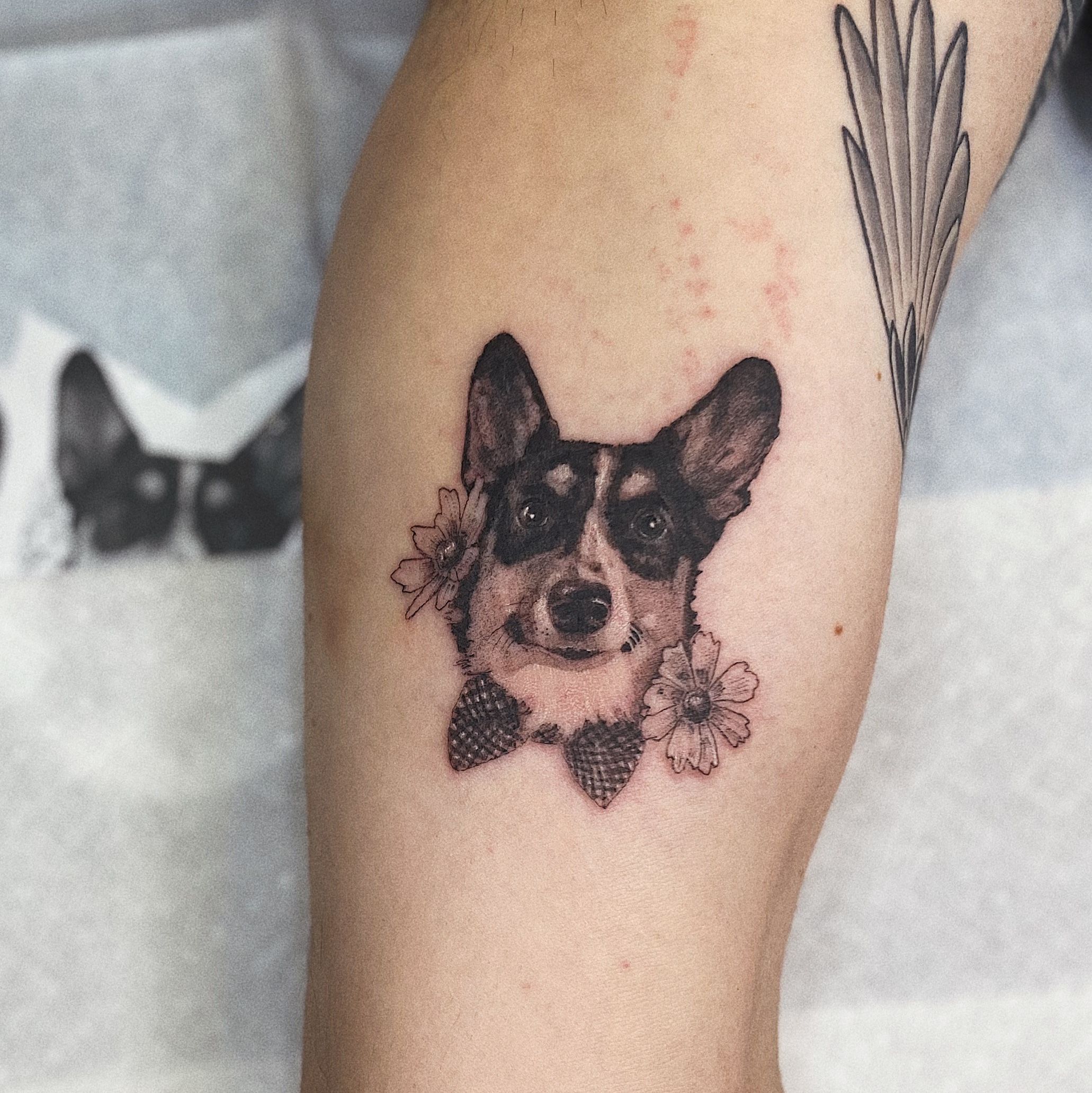 Buy Corgi Dog Temporary Fake Tattoo Sticker set of 2 Online in India  Etsy