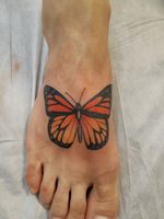 Mariposa monarca 
