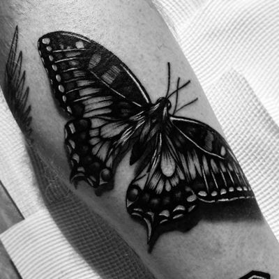#butterfly #realism #balckandgray