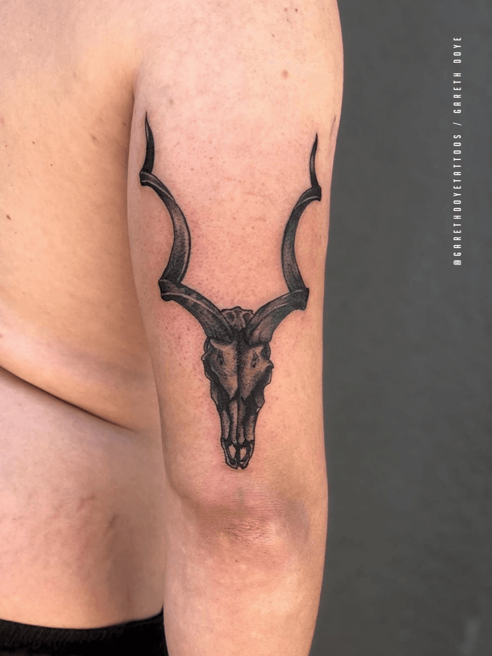 Tattoo uploaded by Kak Lucky Tattoos • On Safari . . . #detailed #kudu # skull by @garethdoyetattoos for @epop101 🙌🏼 . . . Email  @ or DM for bookings. Gareth is taking