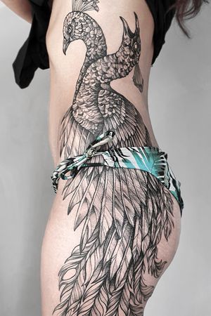 Blackwork Peacock / Body Tattoo