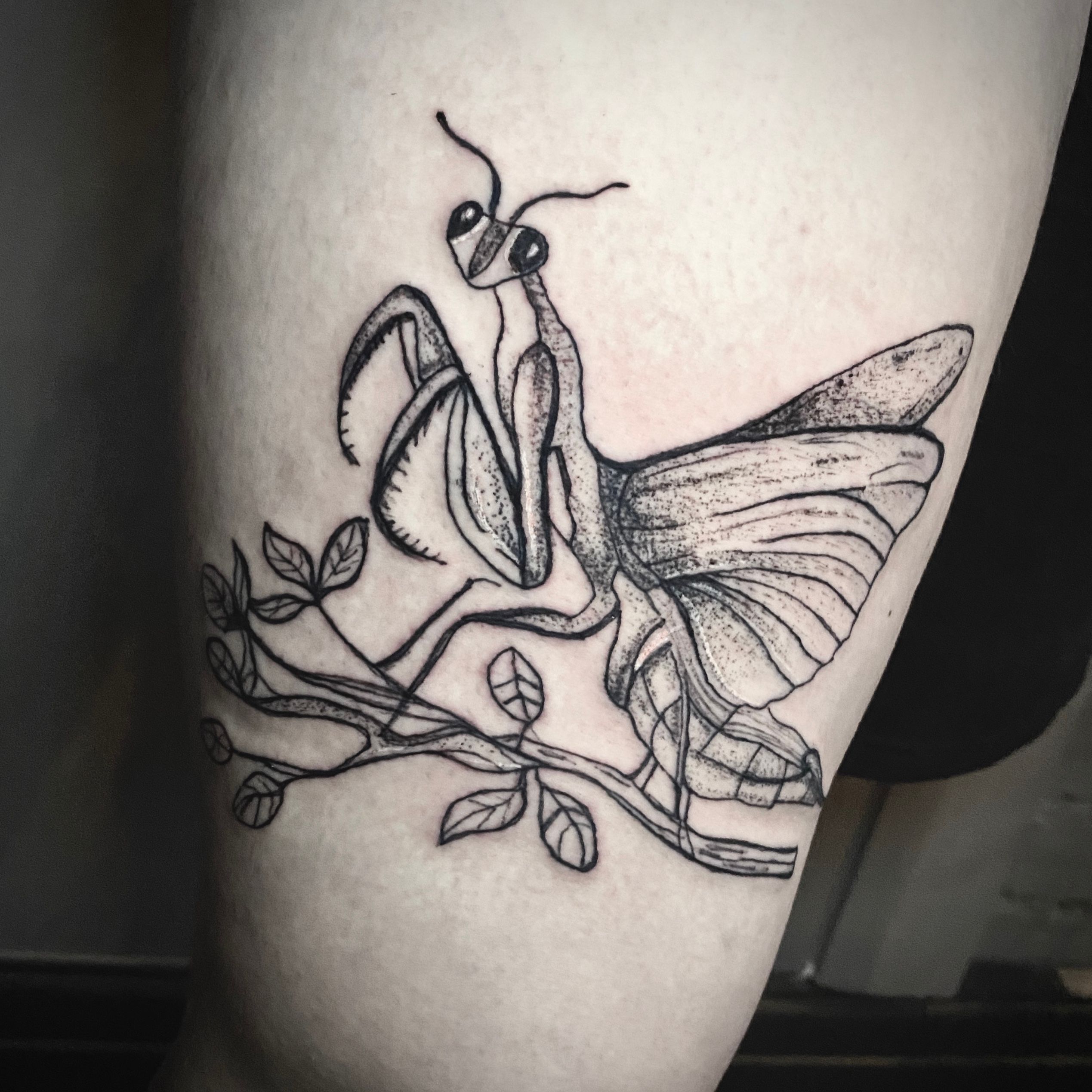 Meaning of your tattooPraying Mantis Mental peace  love of nature   Steemit
