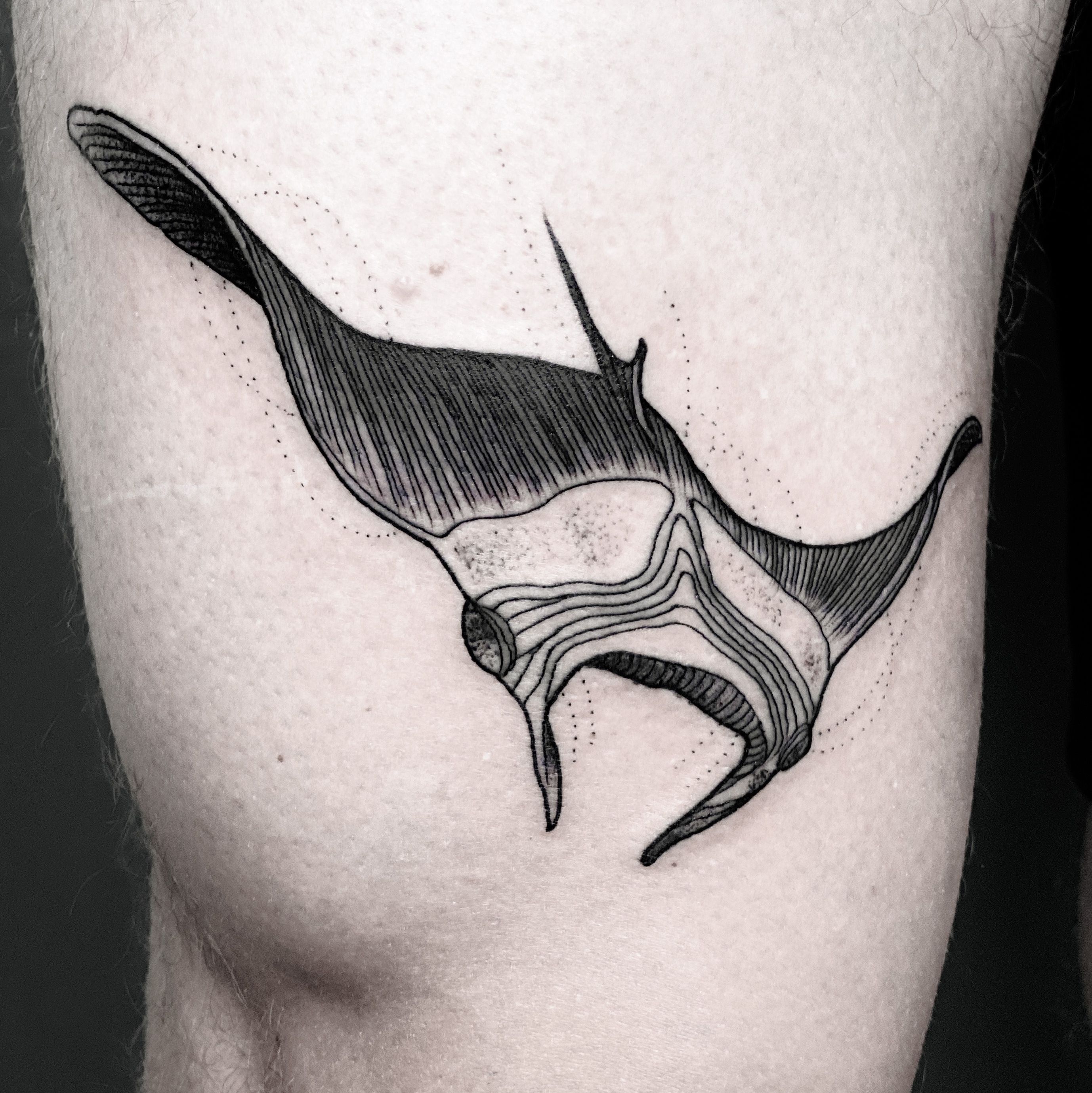 Sacred Raven Tattoo on Instagram Love this Stingray Thank you Chucho for  this cute walkin      tattoo colortattoo colorsleeve color  tattoosnob sacredraven