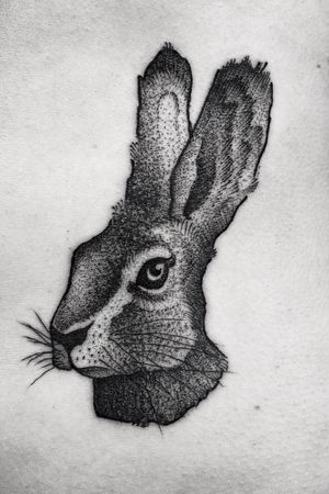 // Sketched bunny. 