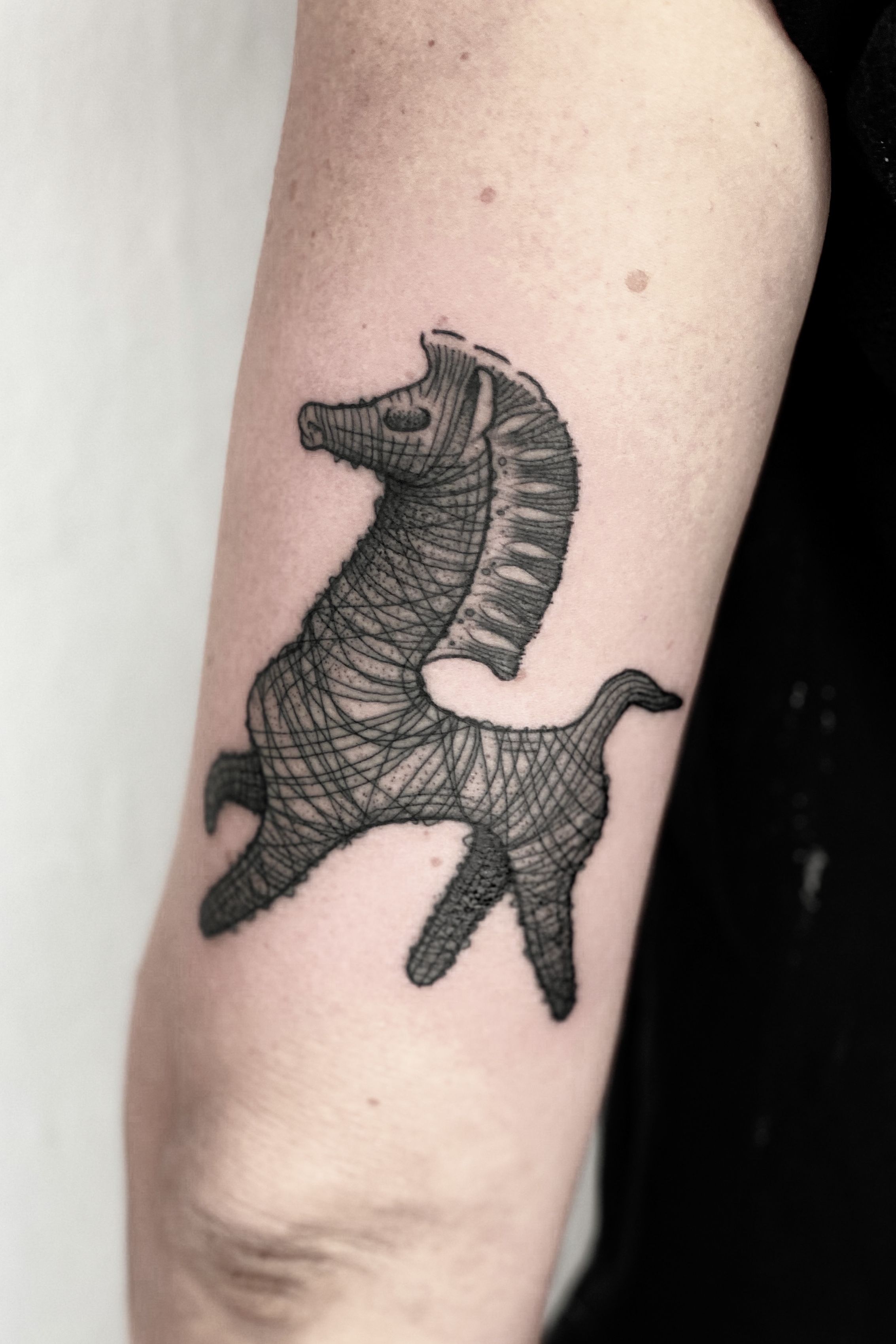 Horse Head Pic Tattoos