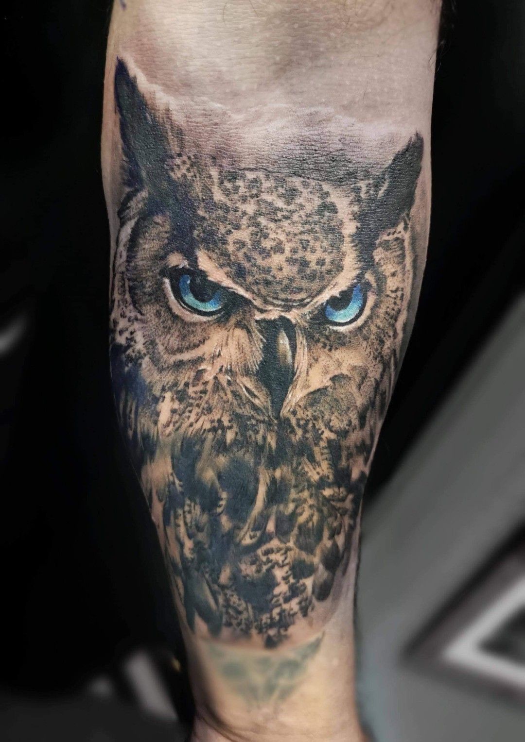 Owl forearm tattoo #tattoo #armtattoo #forarmtattoo #owltattoo #animal... |  TikTok