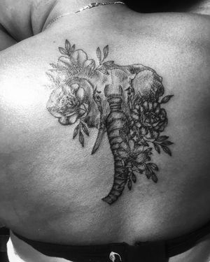 Elephant 🐘 