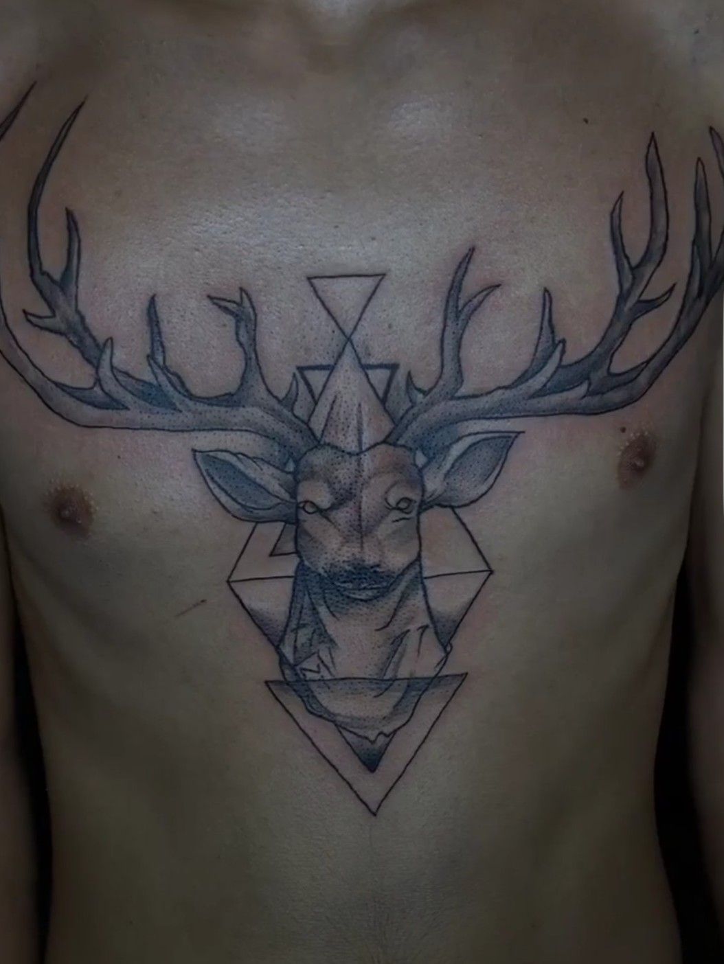 Tattoo tagged with blackw chest deer splatter  inkedappcom