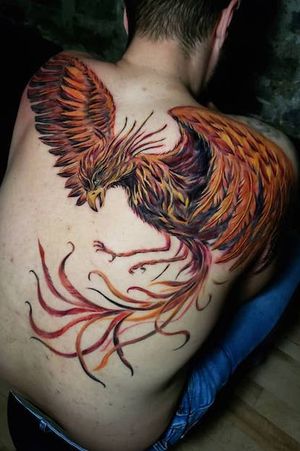 Montreal color phoenix on full back tattoo