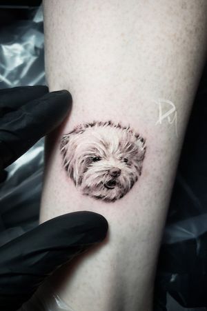 Fine-line Puppy face tattoo #Micro Realism