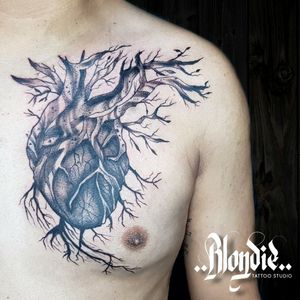 Heart Roots
