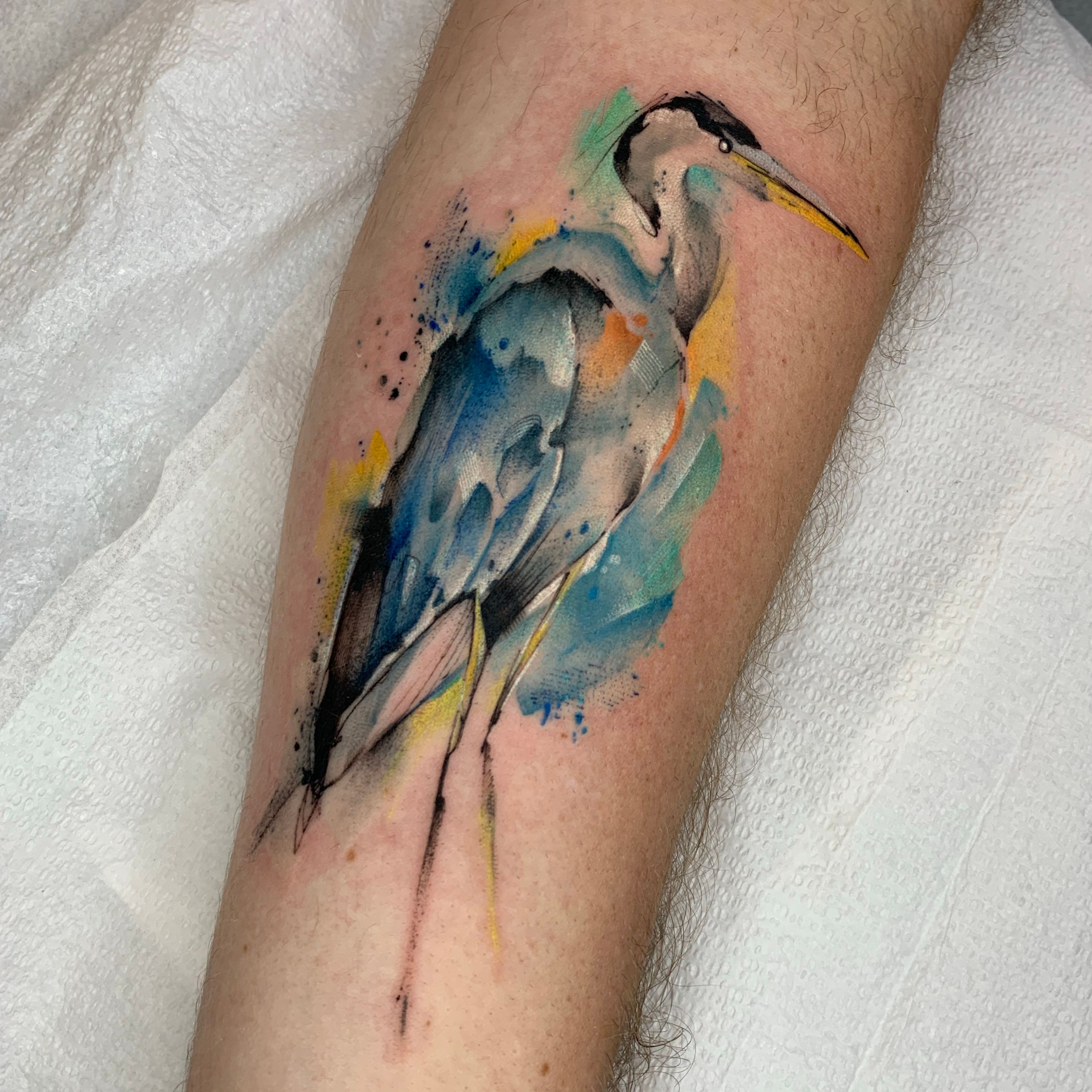 106 Likes 0 Comments  Painted People Tattoo Company  paintedpeopletattoos on Instagram Blue heron by asiatattoo Bas   Tattoos Arm band tattoo Art tattoo