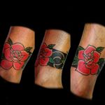 Tatu de feriado.. #tattoo #inked #ink #roses #rosestattoo #neotraditional #neotraditionalrose #neotraditionaltattoo #tattoorose #tatuajesderosas #redrose #rosasrojas #rosastattoo #luchotattoo #lichotattooer #pergamino 