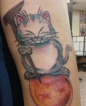 Korin tattoo from Dragonball Z I did during my apprenticeship at Ink Pagoda tattoo. 