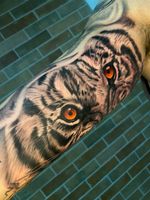 The #eyeofthetiger 🐯 . . #tattooart #tiger #bngtattoo