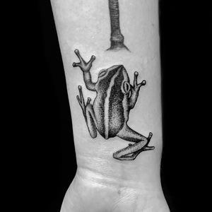 Get a stunning blackwork illustrative frog tattoo on your forearm in Miami, US. Stand out with this unique design!