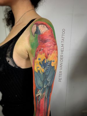 Did this parrot 🦜 on Mymy who is a badass tattoeer herself. #colortattoo #parrottattoo #bird #realism #realistic #wallsandskin