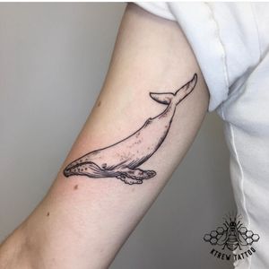 Illustrative Humpback Whale Tattoo by Kirstie @ KTREW Tattoo - Birmingham, UK #humpbackwhale #tattoo #illustrative #fineline #birminghamuk 