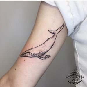 Illustrative Humpback Whale Tattoo by Kirstie @ KTREW Tattoo - Birmingham, UK #whaletattoo #whale #tattoos #illustrativetattoo #finelinetattoo #birmingham