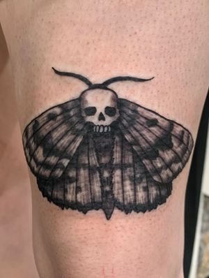Moth above the knee I did a few days ago