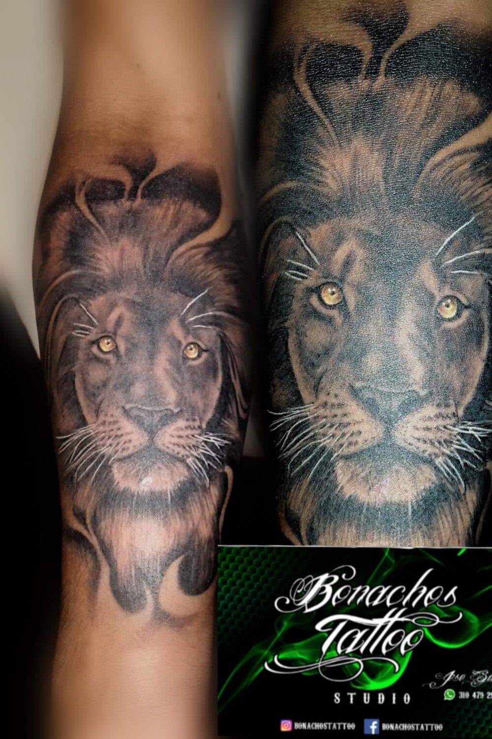 Tattoo uploaded by Bonachos Tattus • Tattoo leon sombras ,piel morena  ,espero les guste @bonacho's_tattoo • Tattoodo