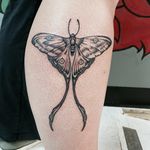 A client chosen moth with a little artistic freedom.