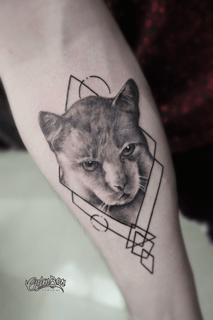 For all cat lovers, a beautiful cat portrait done by Loris. #realism #realistictattoo #realismtattoo #cat #cattattoo #catportrait #tattoo #blackandgrey #blackandgreyrealism #london #besttattoo #londontattos #tooting #geometry www.crimsontalestattoo.co.uk