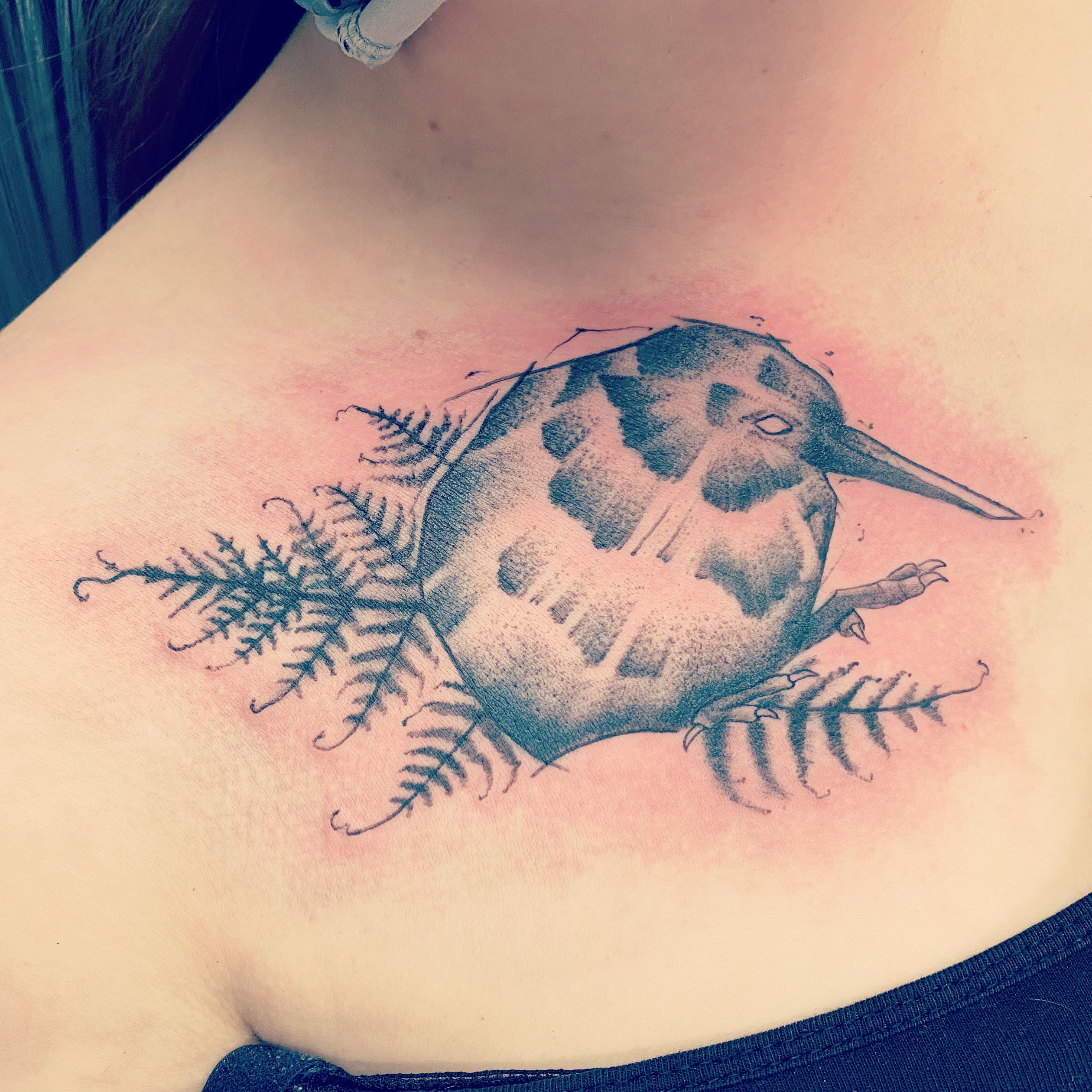 Kiwi Bird (first tattoo to celebrate seeing a wild one!) by Mikey at  Otautahi Tattoo in Auckland : r/tattoos