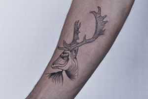 Tattoo by Blackbird Atelier