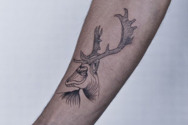 Tattoo from Blackbird Atelier