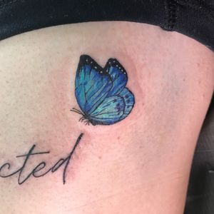 Small blue butterfly at the edge of some script. 