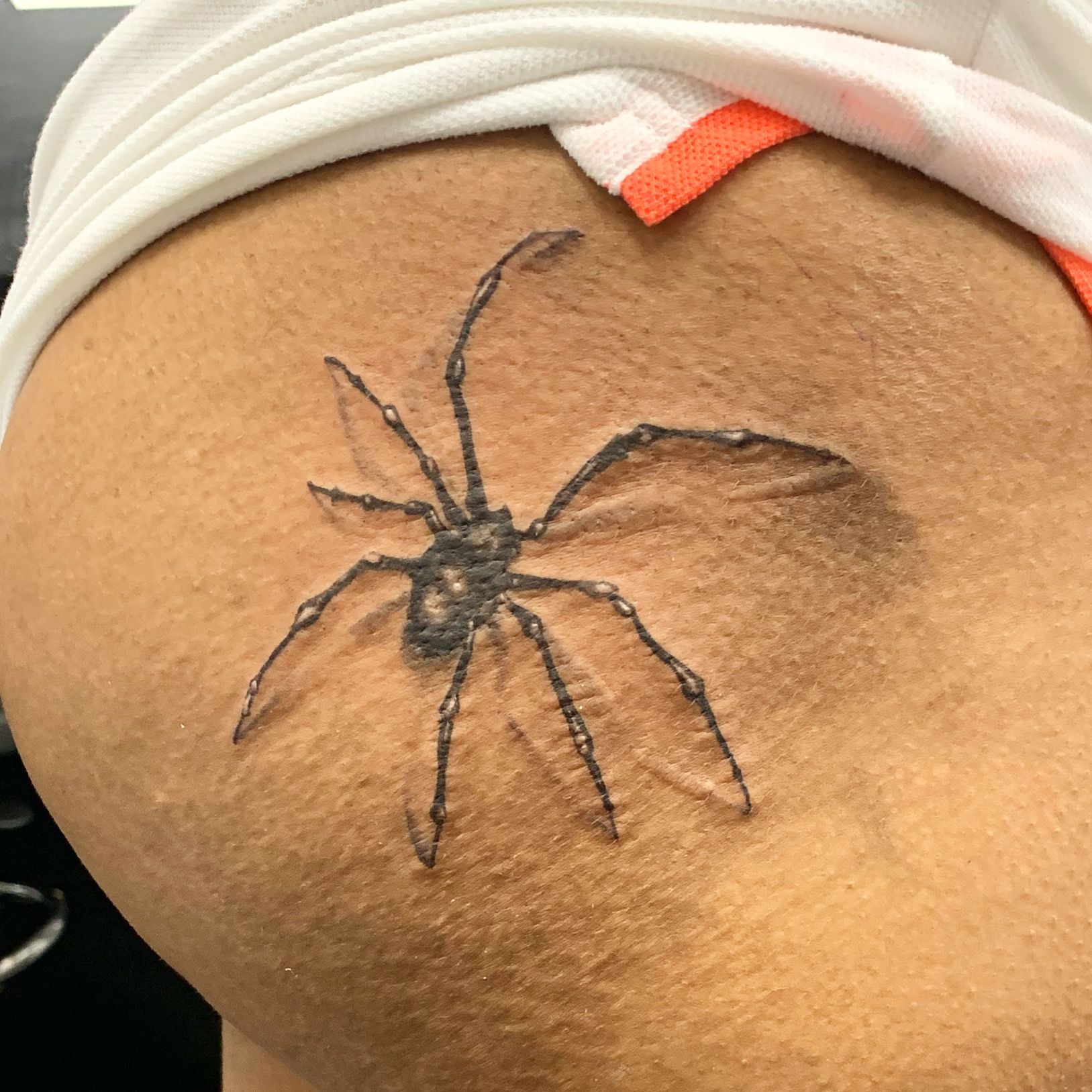 Silhouettes of spiders  Spider tattoo Scary tattoos Small tattoos