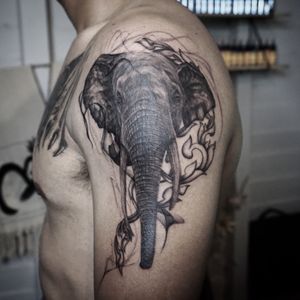 𝙄𝙂: 𝙣𝙖𝙩𝙚_𝙩𝙝𝙖𝙞𝙡𝙖𝙣𝙙 🌿 Ethereal elephant tattoo with Thai art at Baan Khagee Tattoo Chiang Mai, Thailand