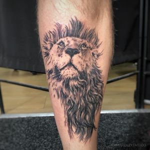 Illustrative lion tattoo.#lion